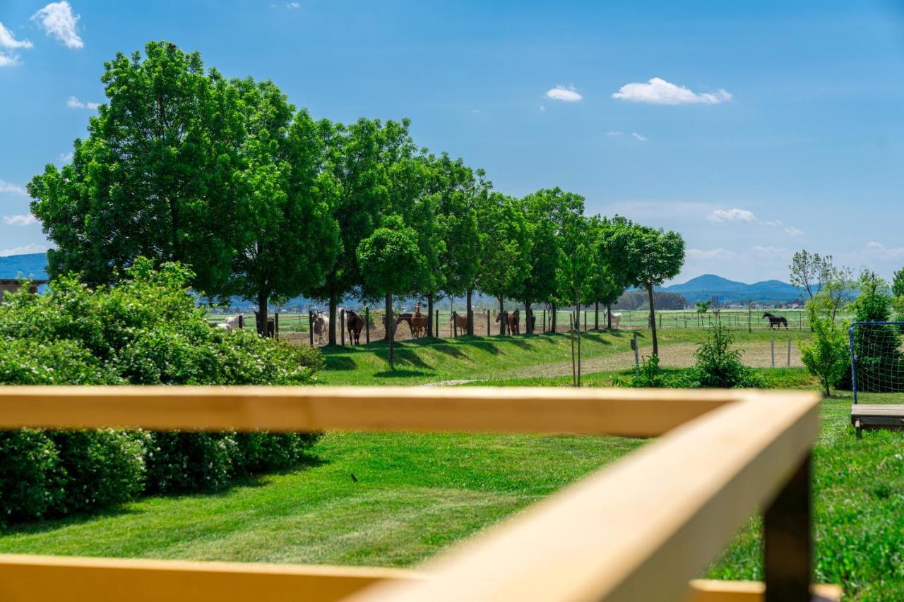 Horse Glamping Park Cirkovce Exterior foto