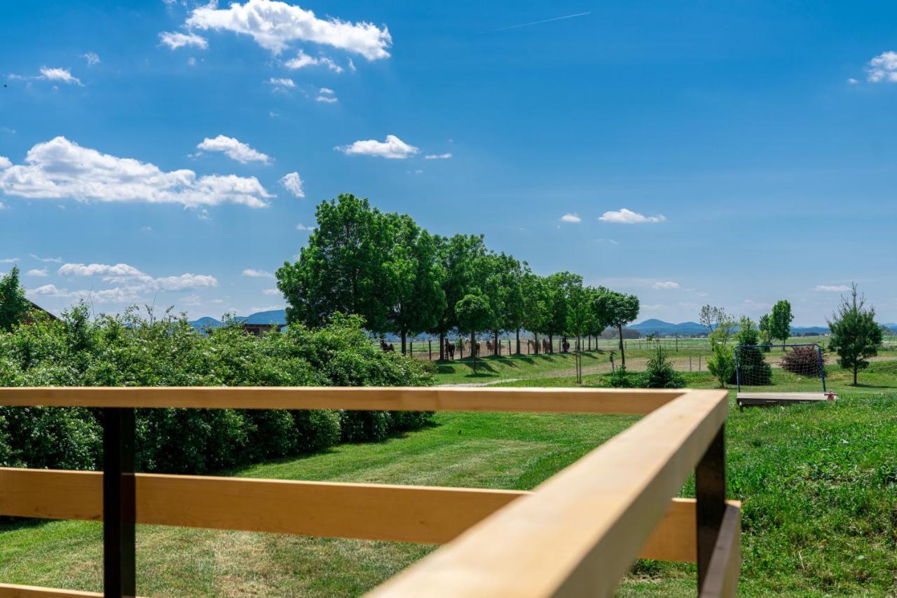 Horse Glamping Park Cirkovce Exterior foto